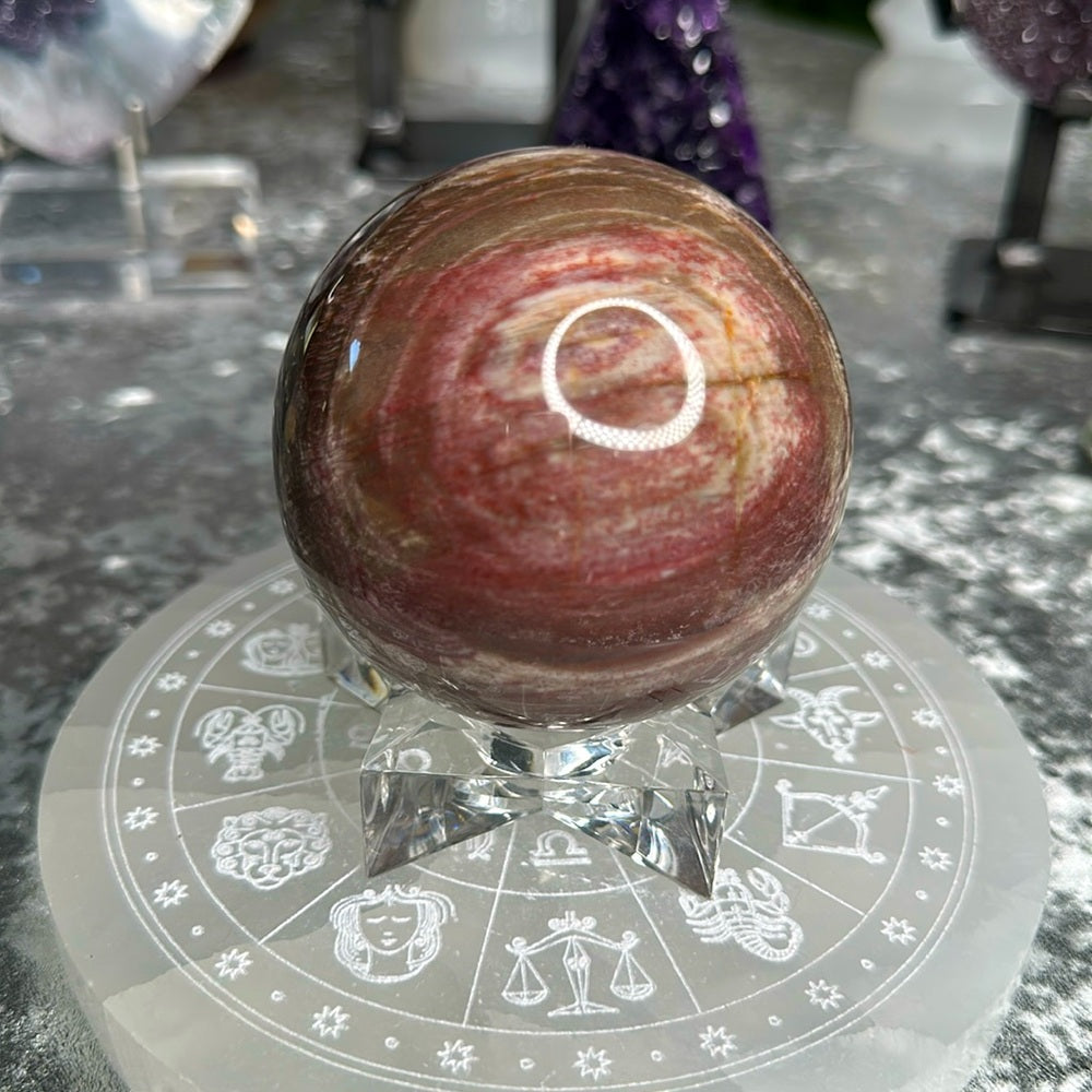 Petrified Wood Sphere PWS01