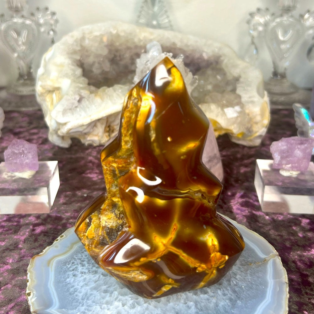 Carnelian Orca Agate Flame - CAF01