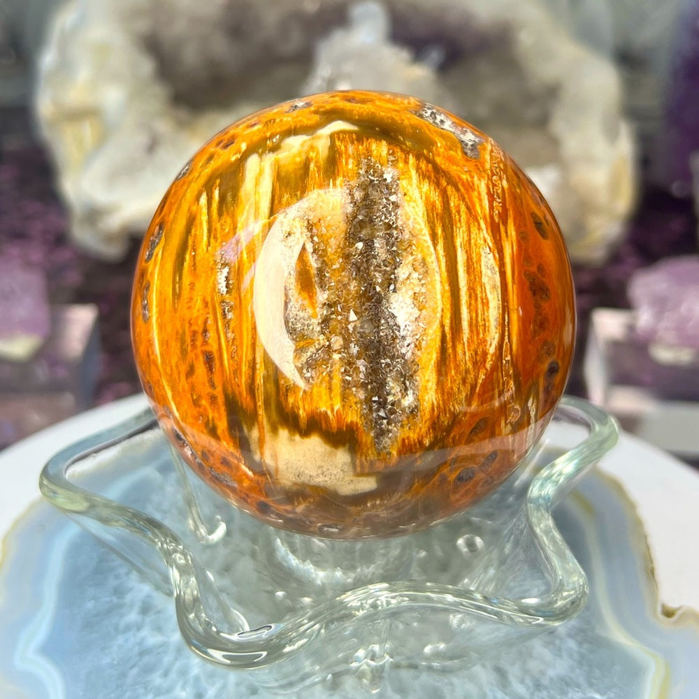 Druzy Petrified Wood Sphere - DPW01