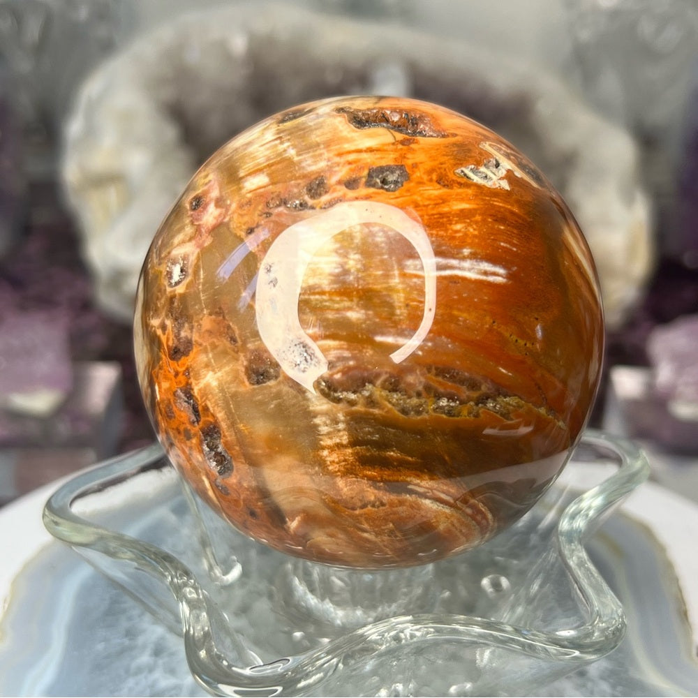 Druzy Petrified Wood Sphere - DPW01