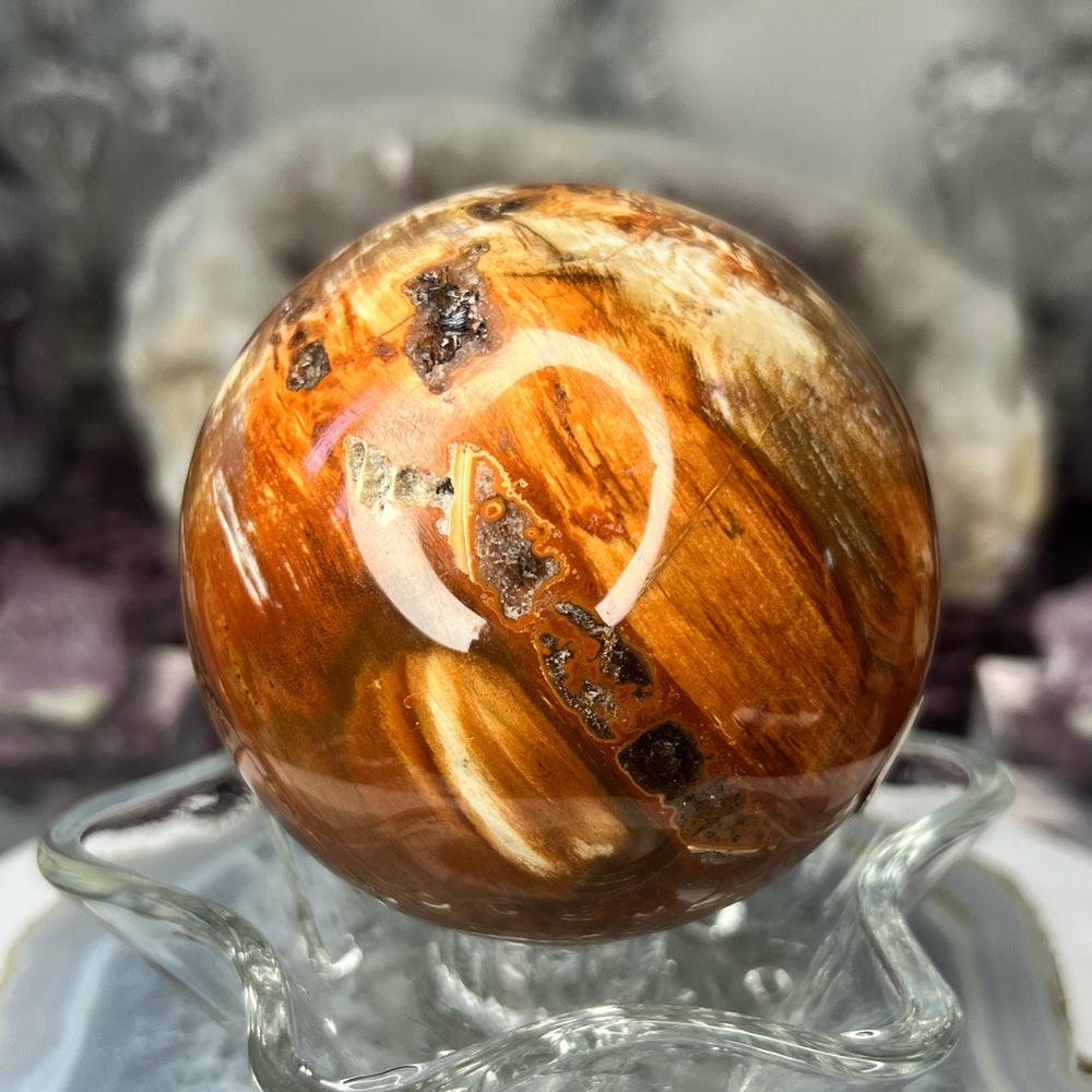 Druzy Petrified Wood Sphere - DPW01