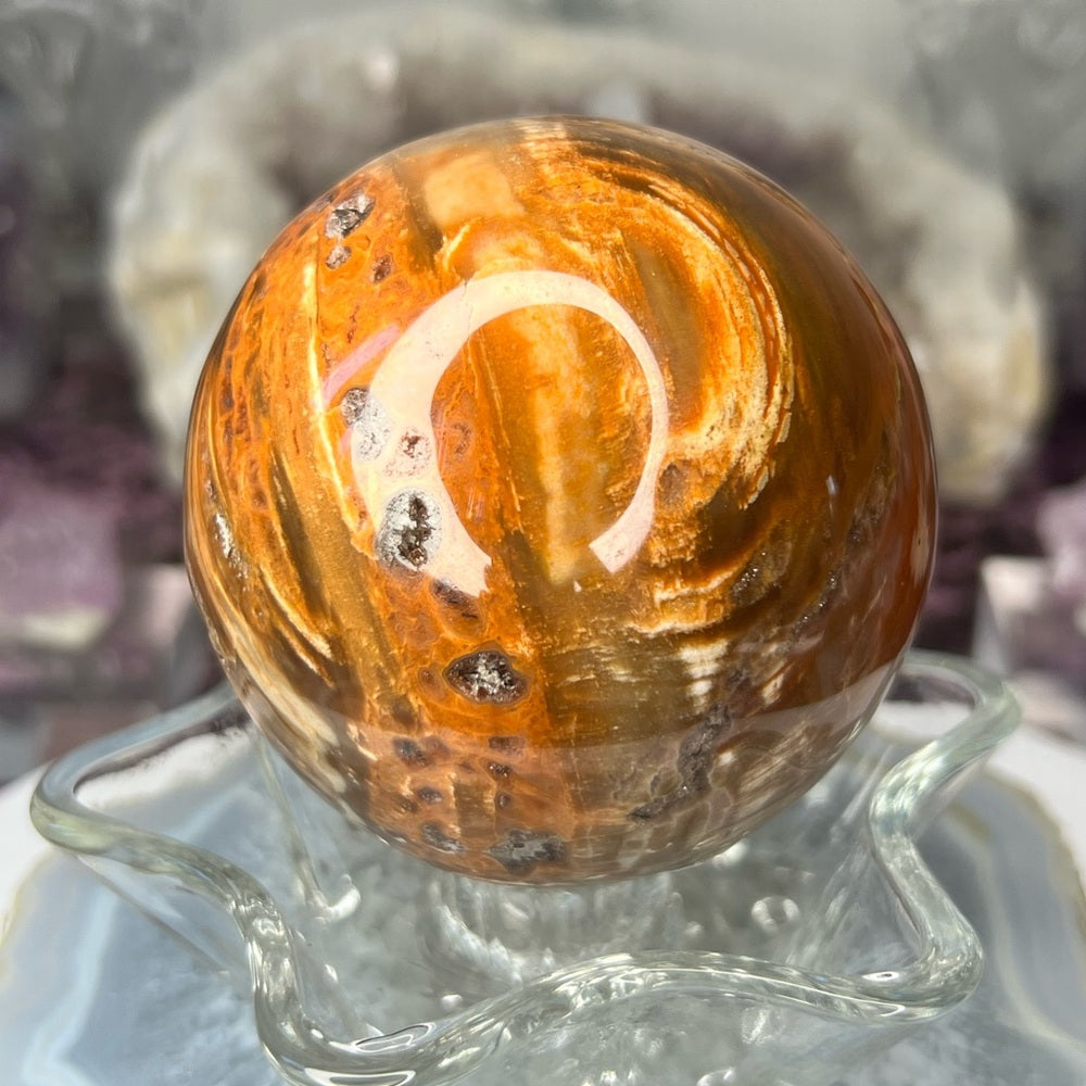Druzy Petrified Wood Sphere - DPW01