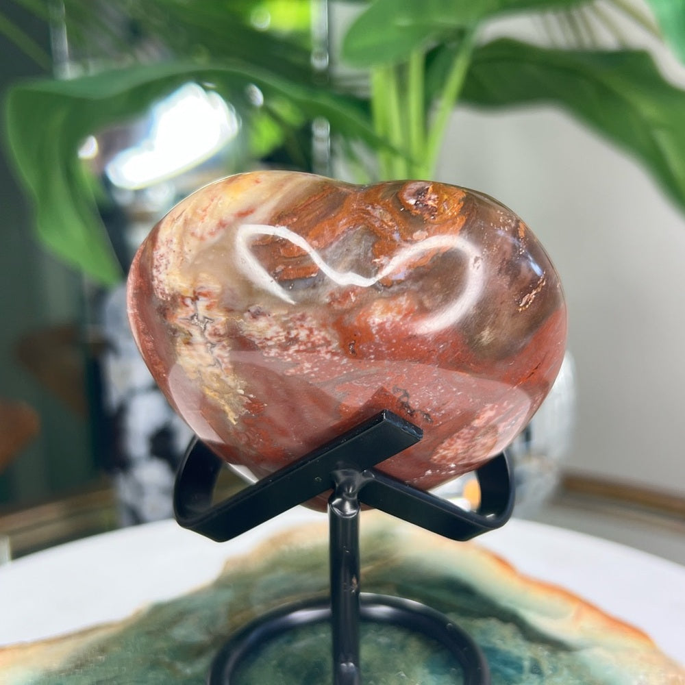 Petrified Wood Heart - PWH01