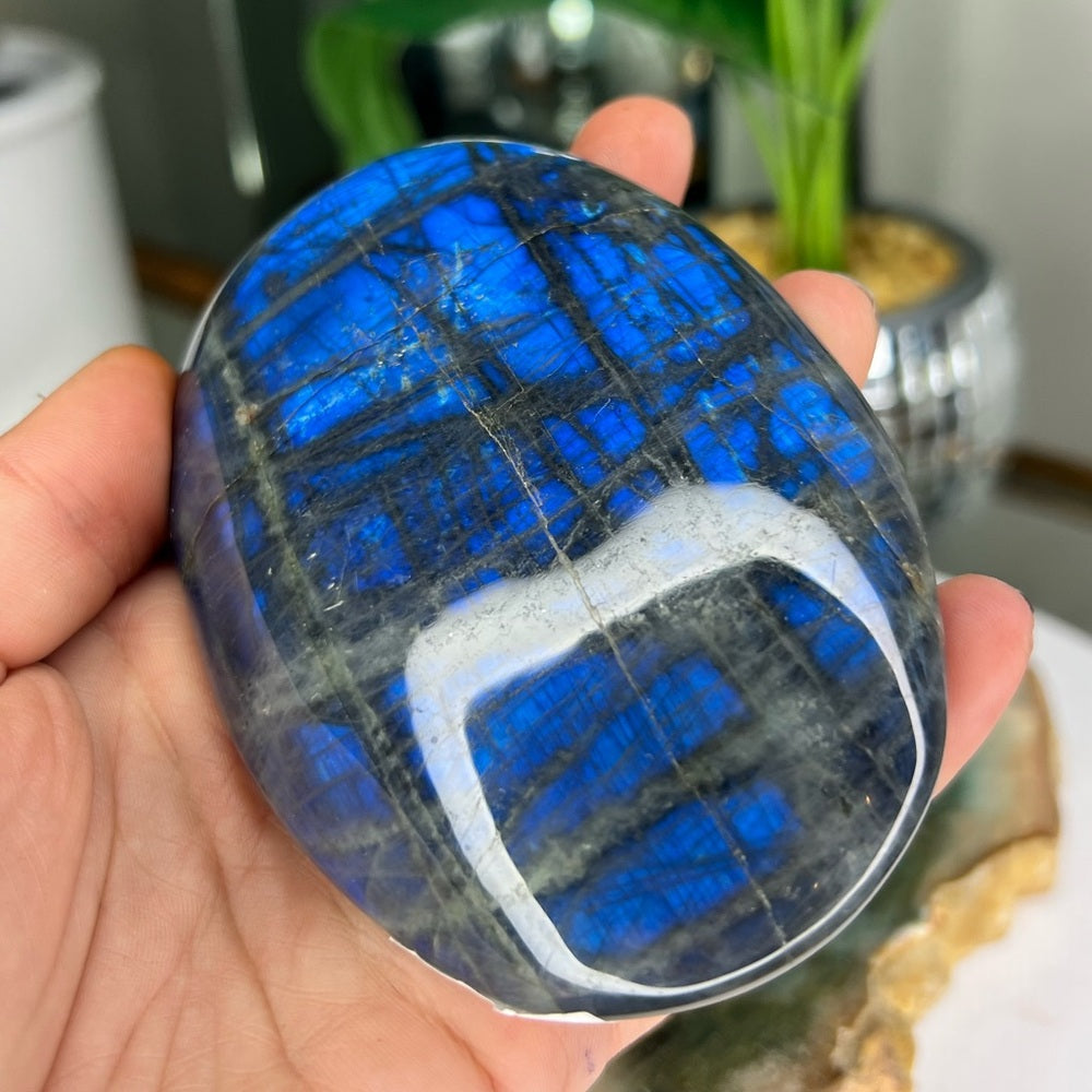 Blue Flash Labradorite Palmstone - BFL01