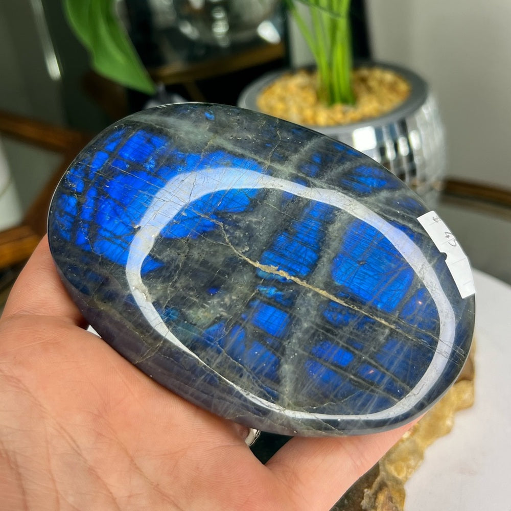 Blue Flash Labradorite Palmstone - BFL01