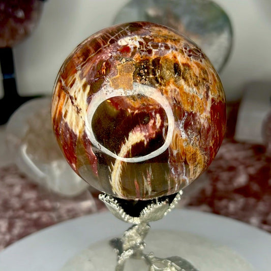 Petrified Wood Sphere - PYF03