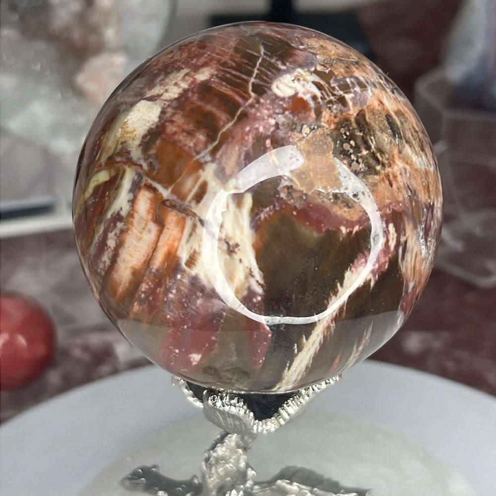 Petrified Wood Sphere - PYF03