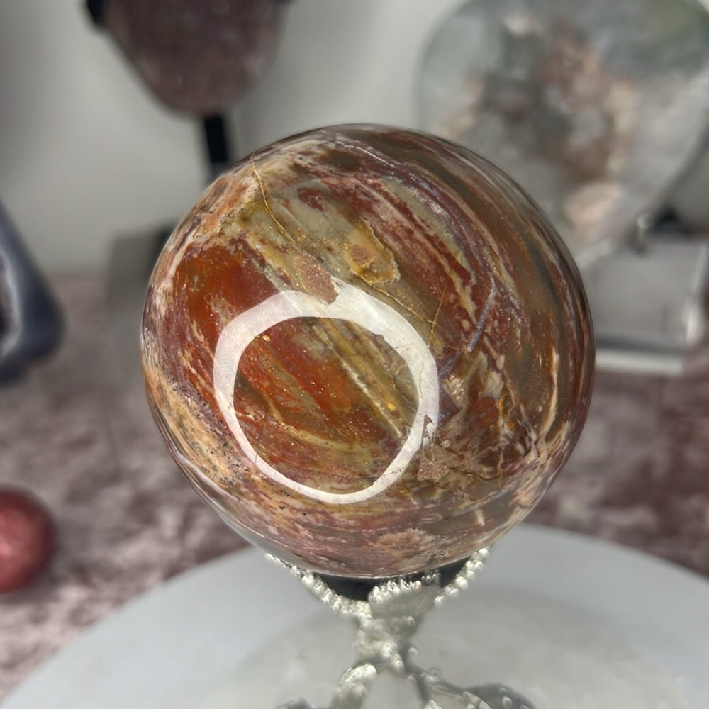Petrified Wood Sphere - PYF03