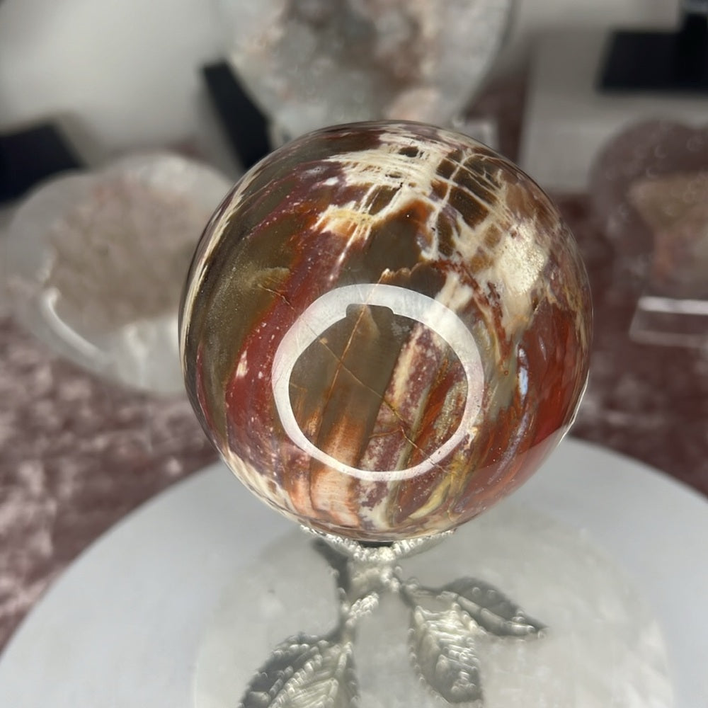 Petrified Wood Sphere - PYF03