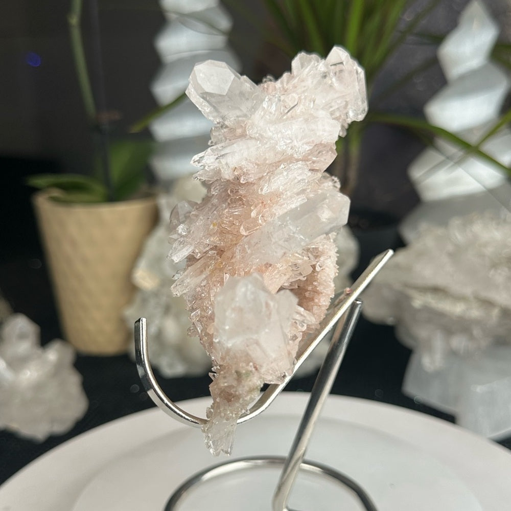 Pink & Perfect 💝 Pink Lumerian cluster w chlorite PLC7