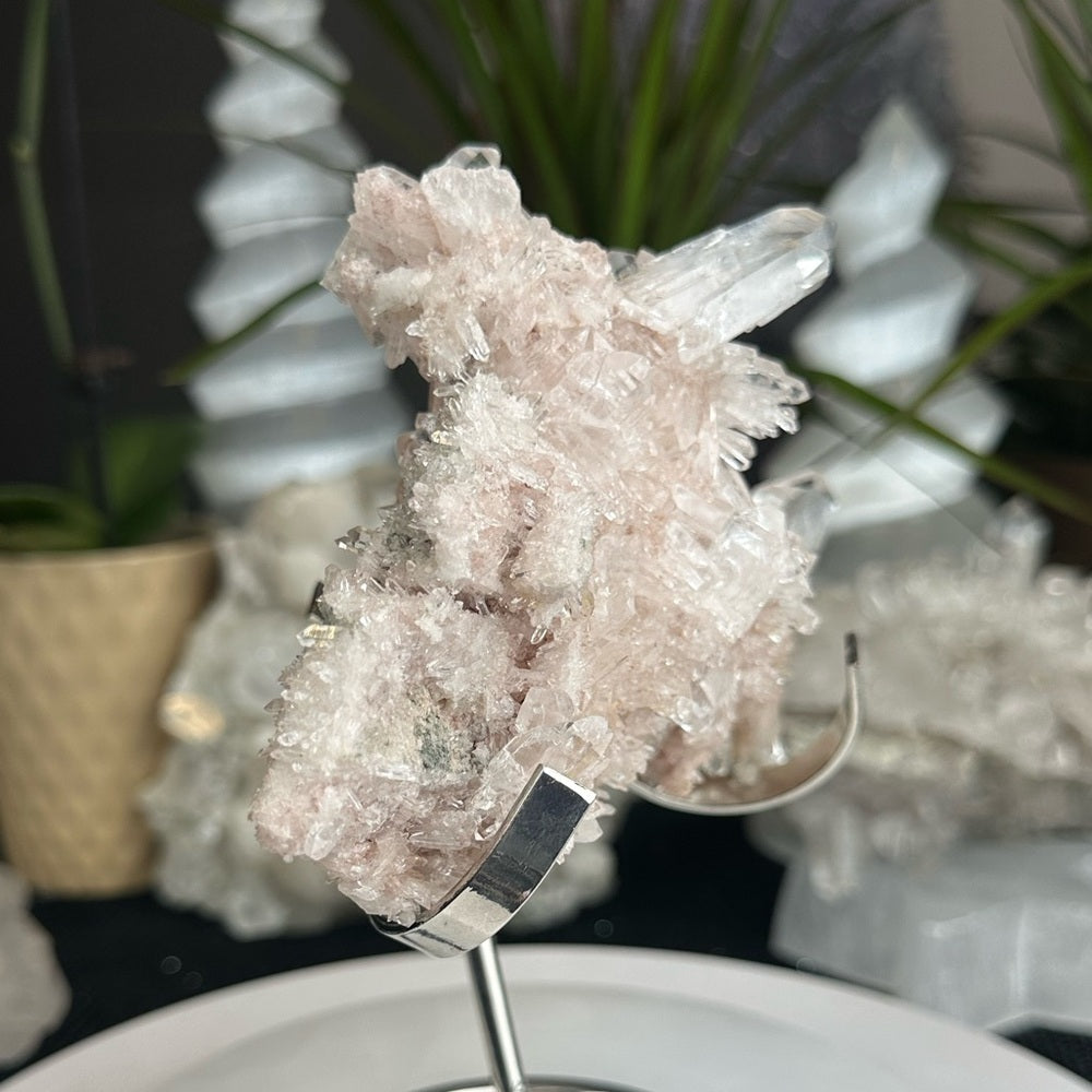 Pink & Perfect 💝 Pink Lumerian cluster w chlorite PLC7