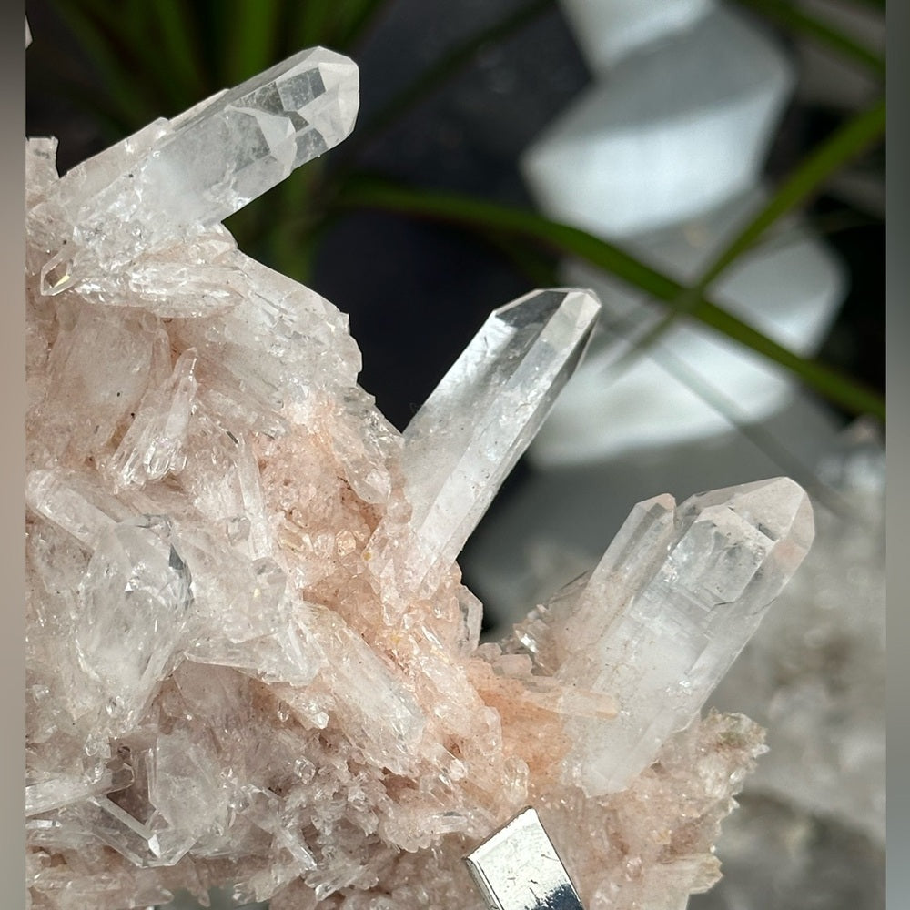 Pink & Perfect 💝 Pink Lumerian cluster w chlorite PLC7