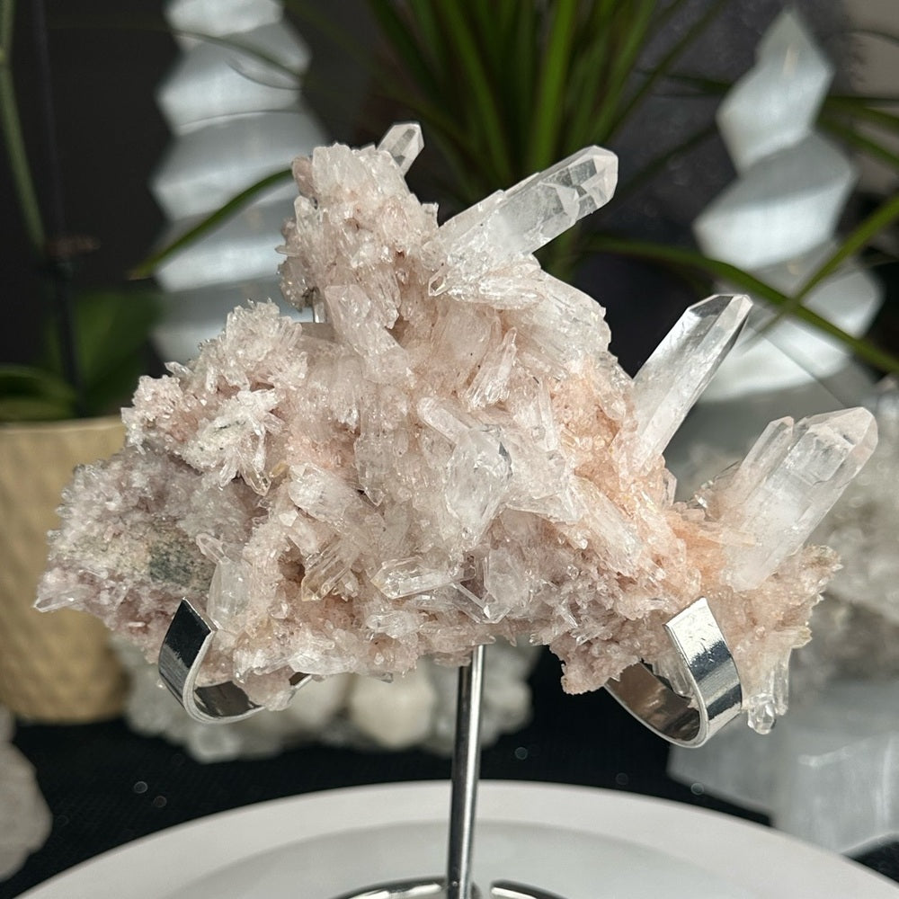 Pink & Perfect 💝 Pink Lumerian cluster w chlorite PLC7