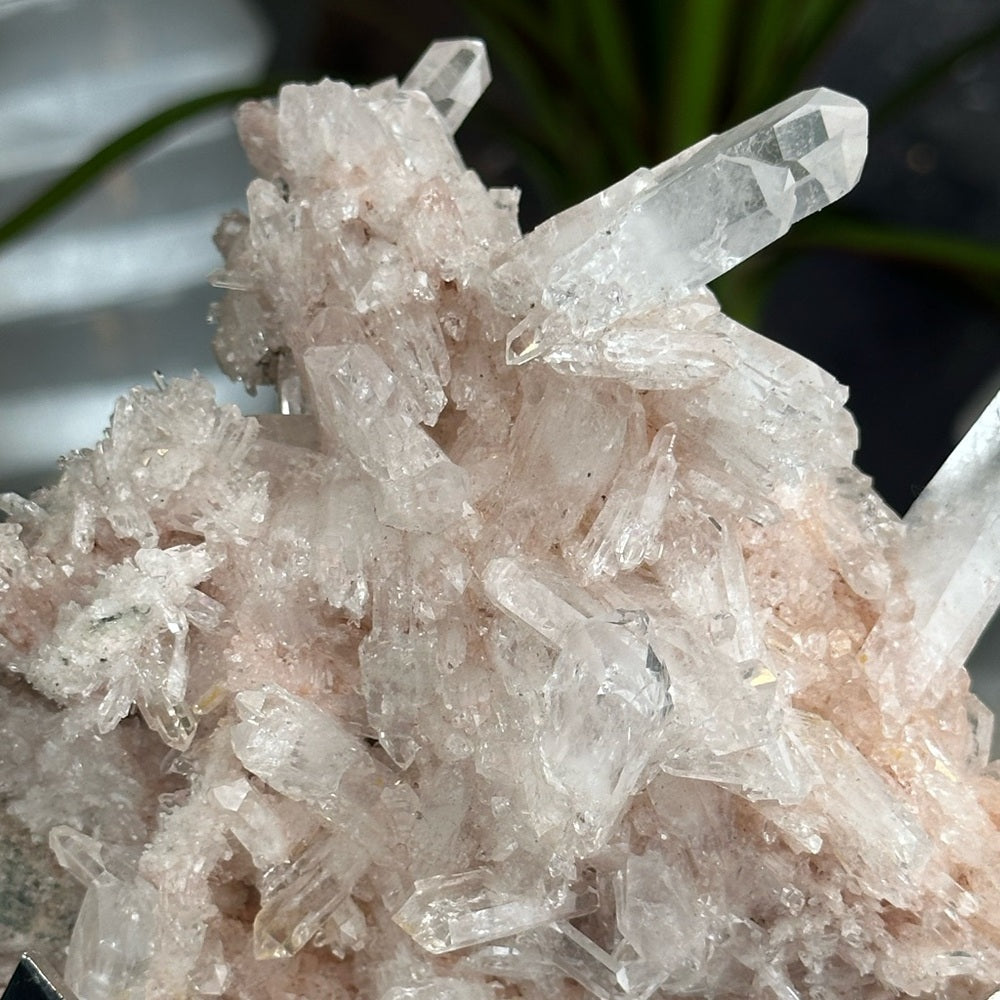 Pink & Perfect 💝 Pink Lumerian cluster w chlorite PLC7