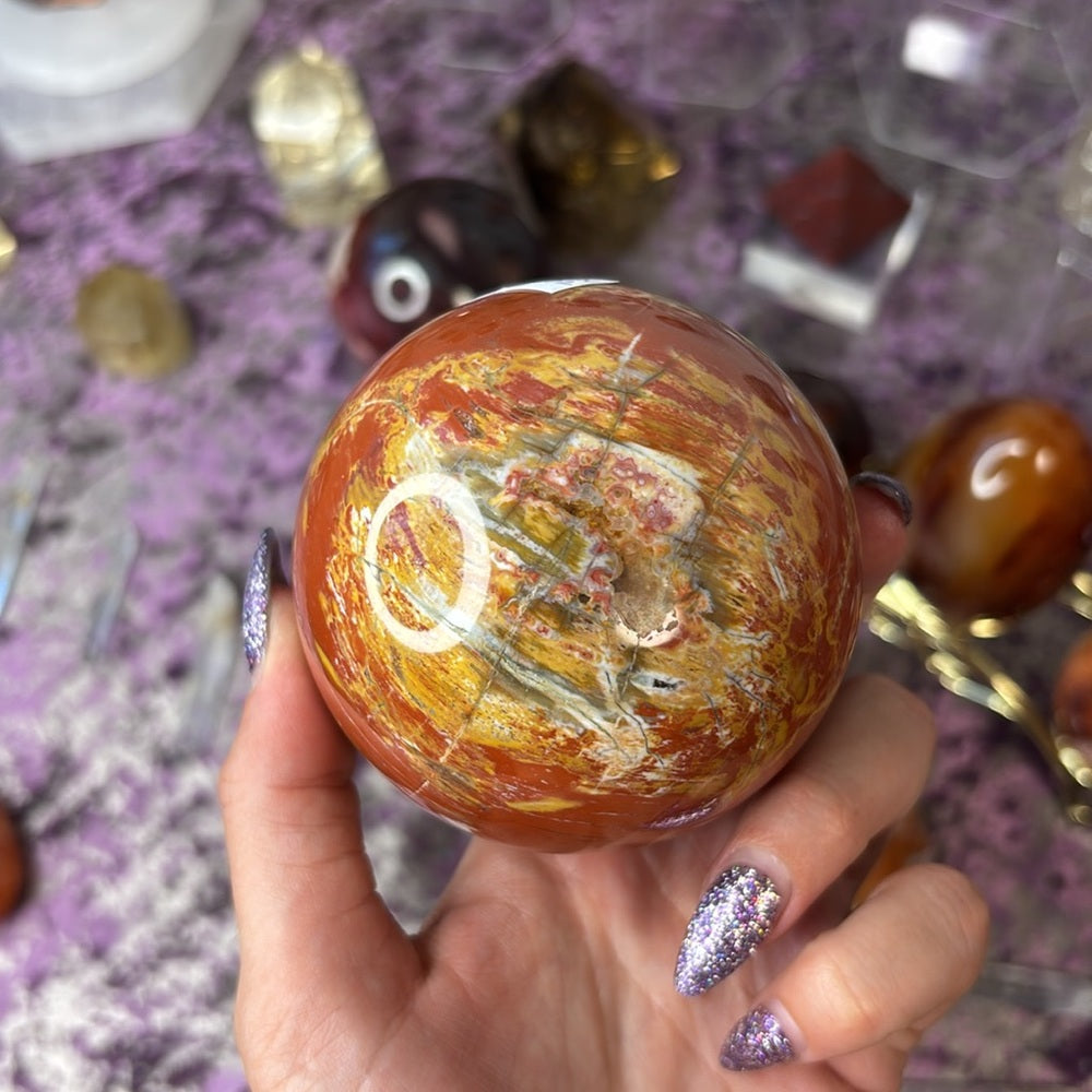 Petrified wood Sphere - PW02
