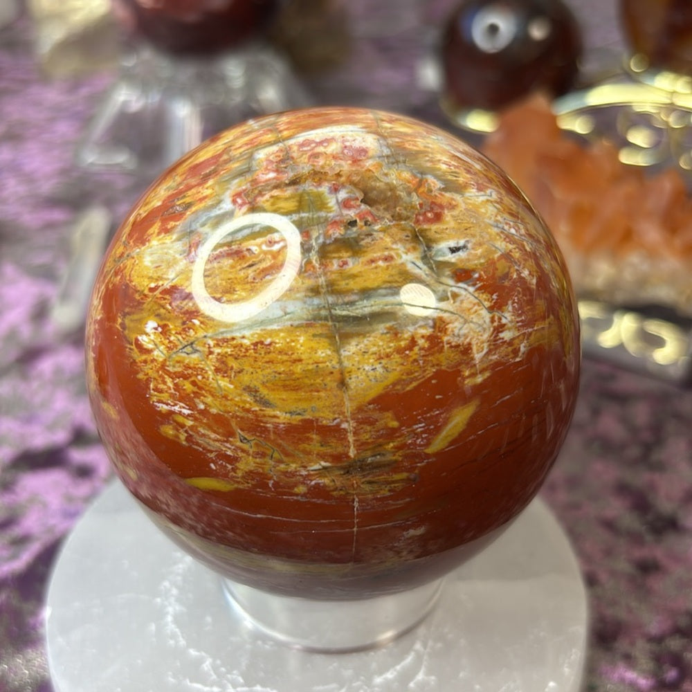 Petrified wood Sphere - PW02