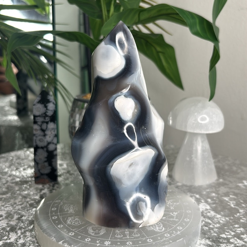 Orca agate flame OAF01