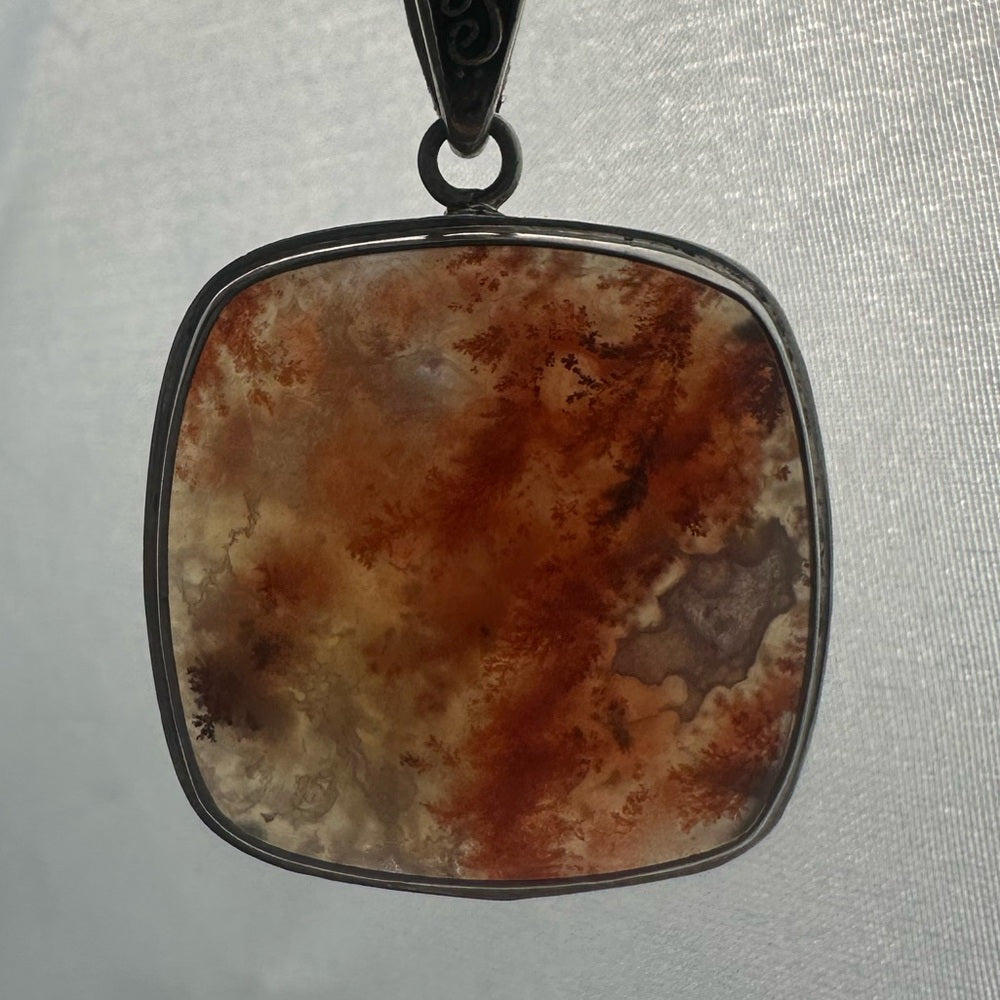 Caray plume agate from California CA01