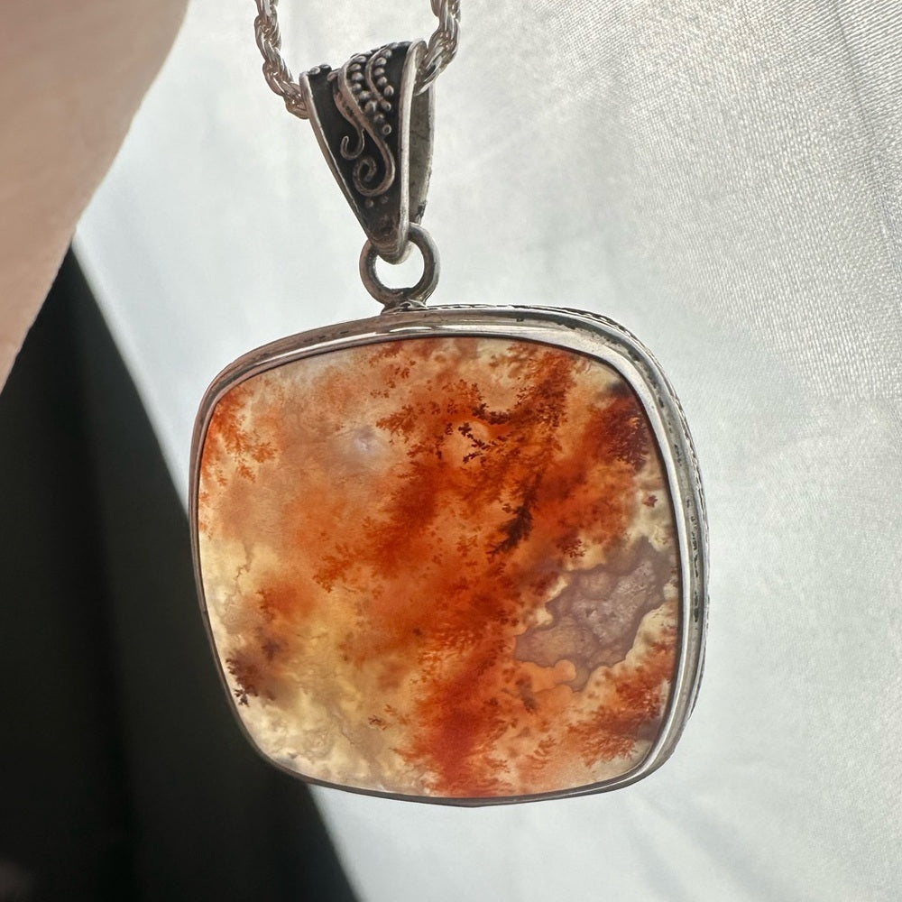 Caray plume agate from California CA01