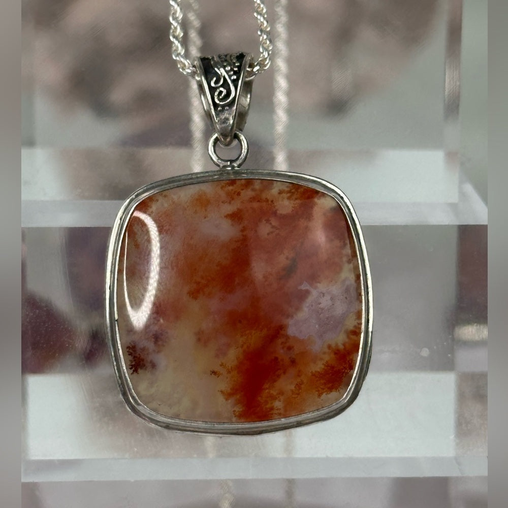 Caray plume agate from California CA01