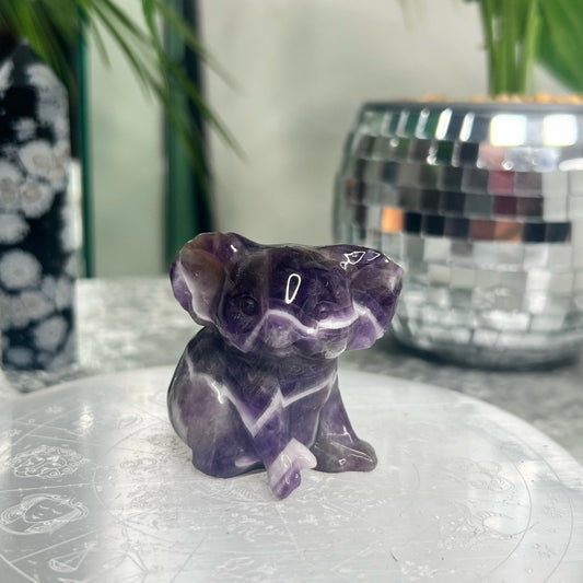 Chevron Amethyst Koala- CAK01