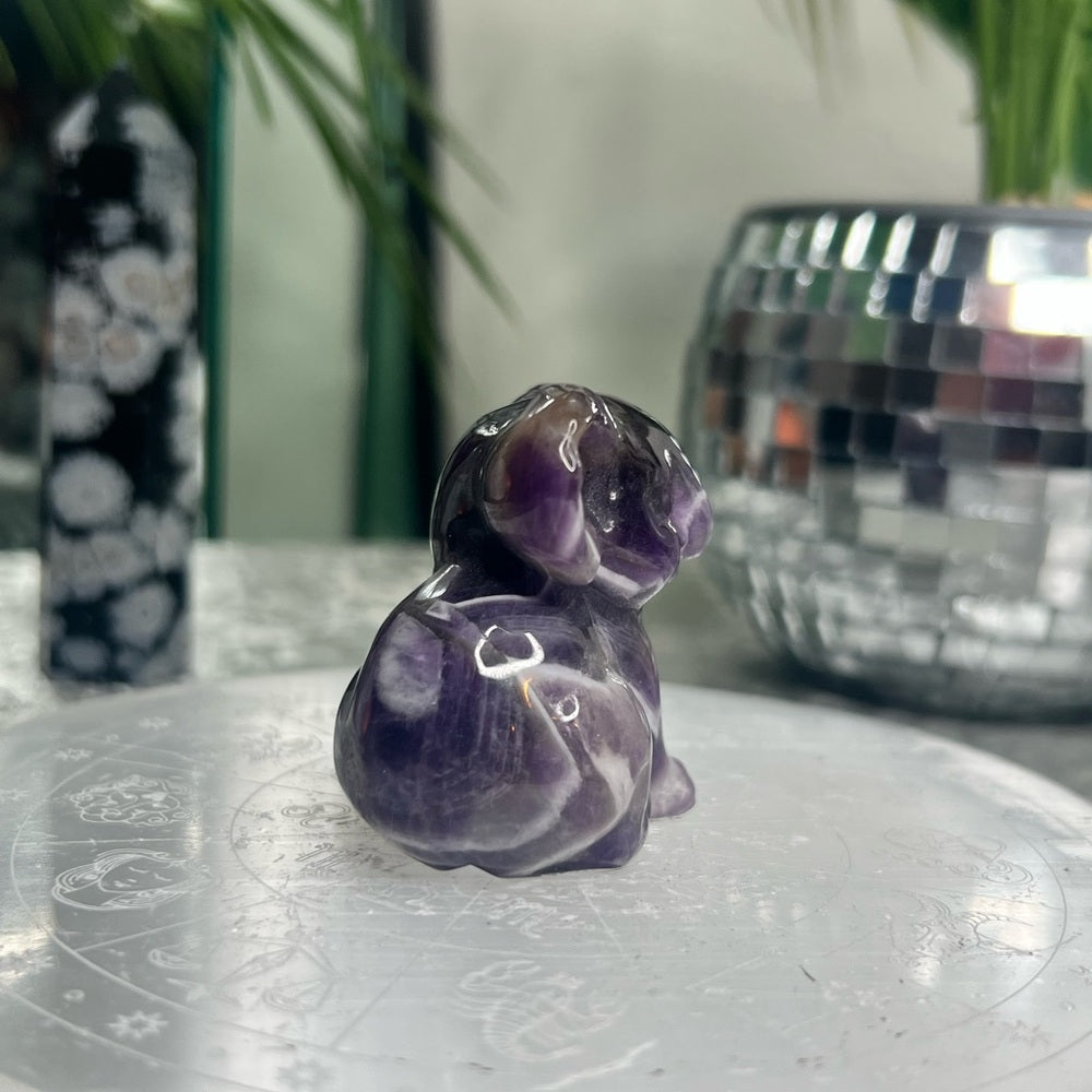 Chevron Amethyst Koala- CAK01