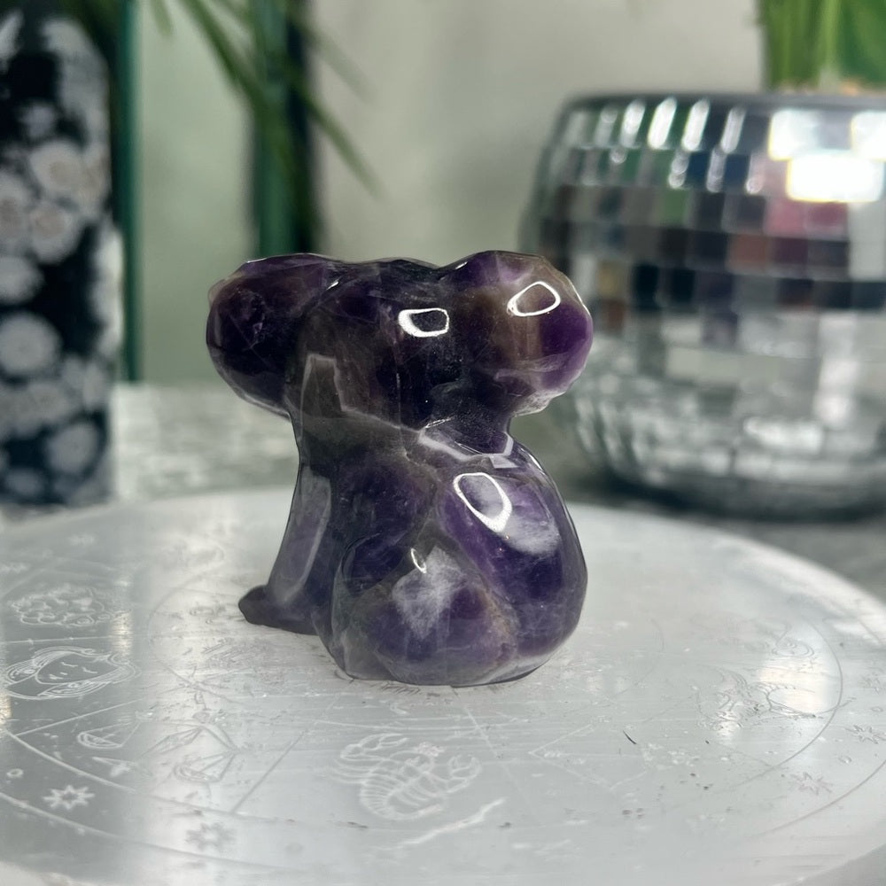 Chevron Amethyst Koala- CAK01