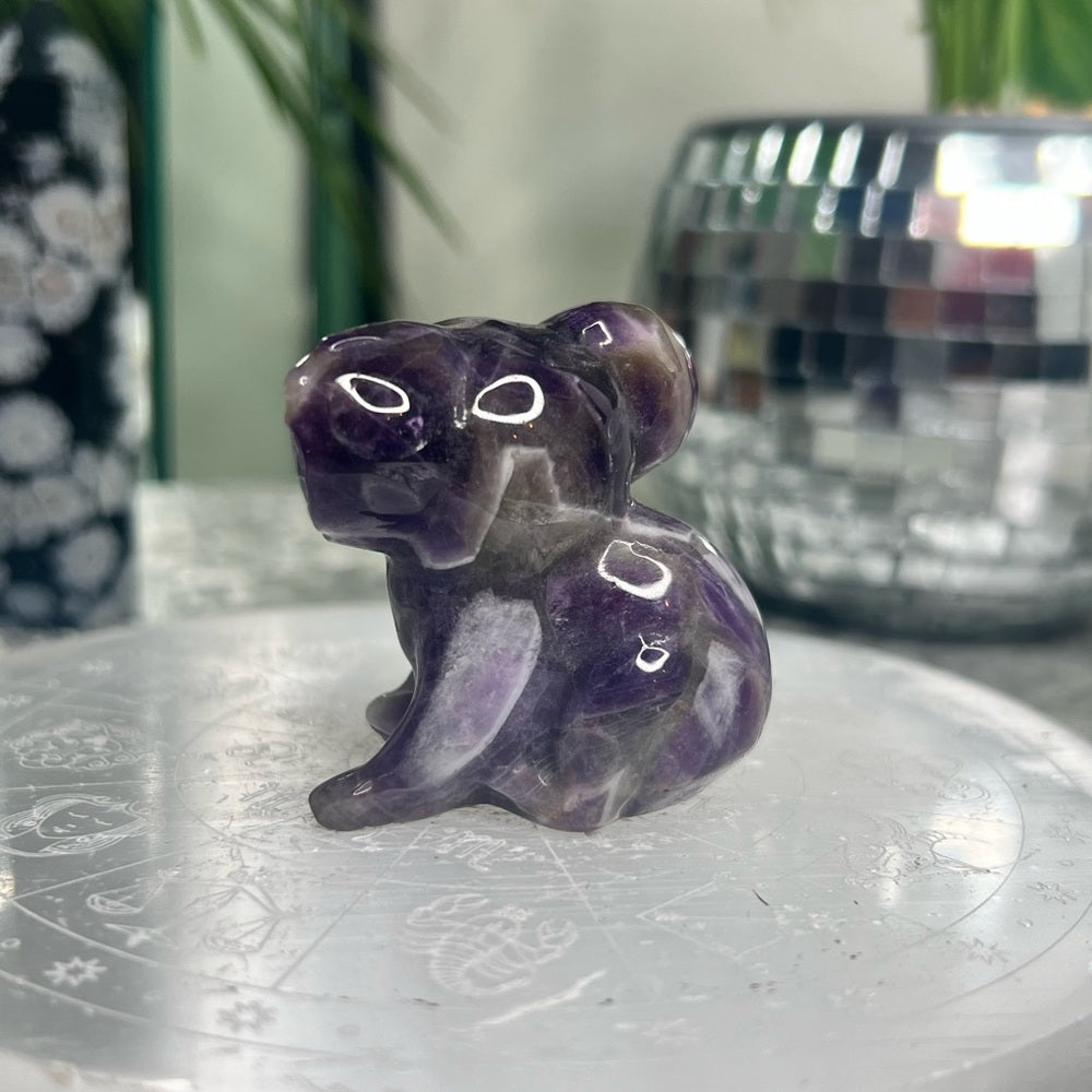 Chevron Amethyst Koala- CAK01