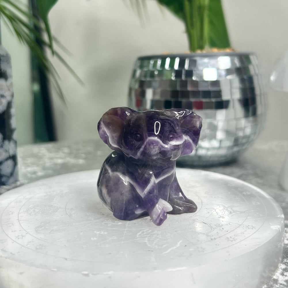 Chevron Amethyst Koala- CAK01