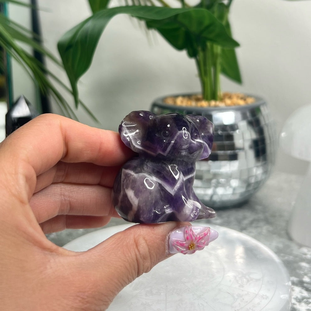 Chevron Amethyst Koala- CAK01