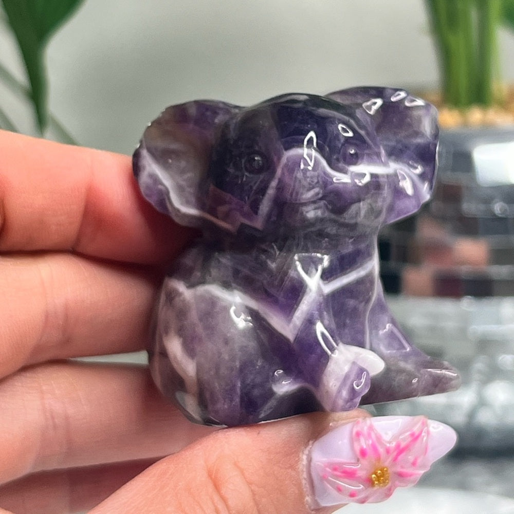 Chevron Amethyst Koala- CAK01