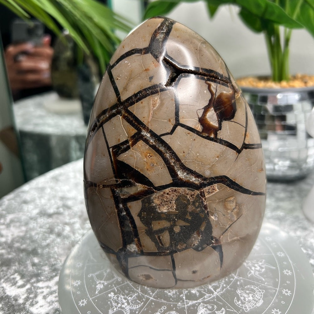Septarian W Calcite Freeform- SF08