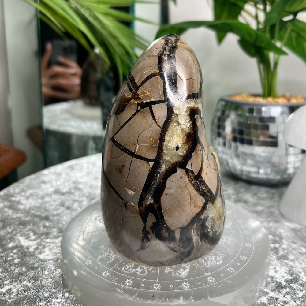 Septarian W Calcite Freeform- SF08