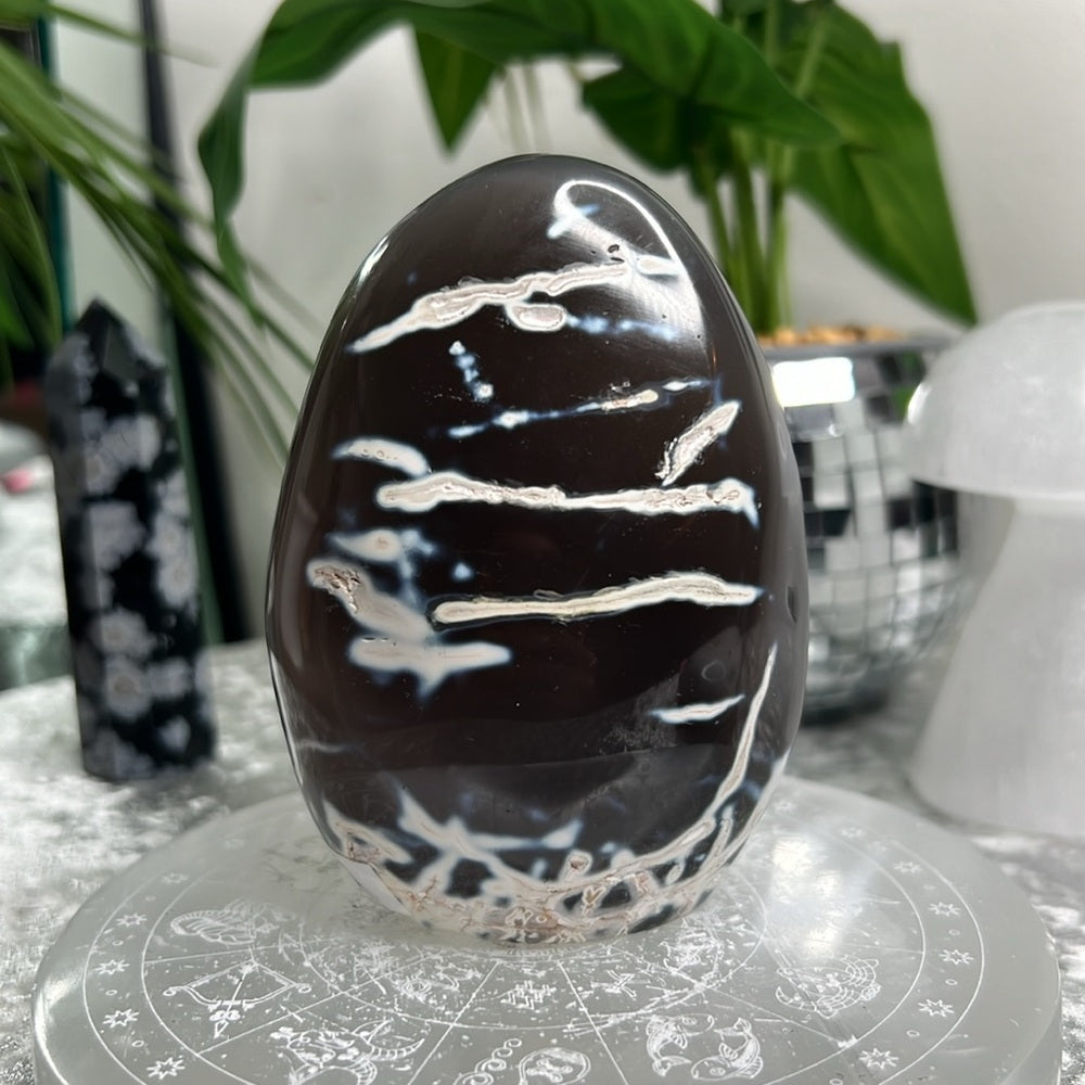 Orca Agate Freeform- OAF1