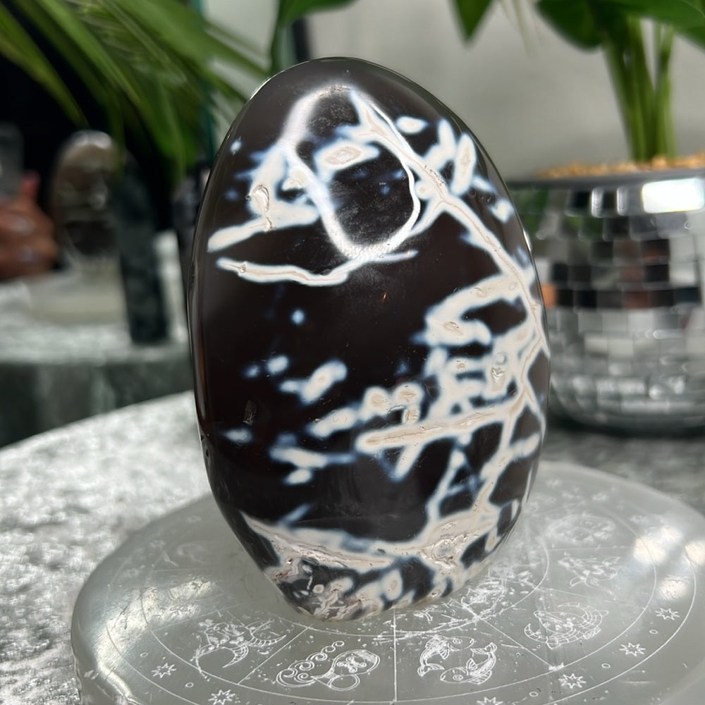 Orca Agate Freeform- OAF1