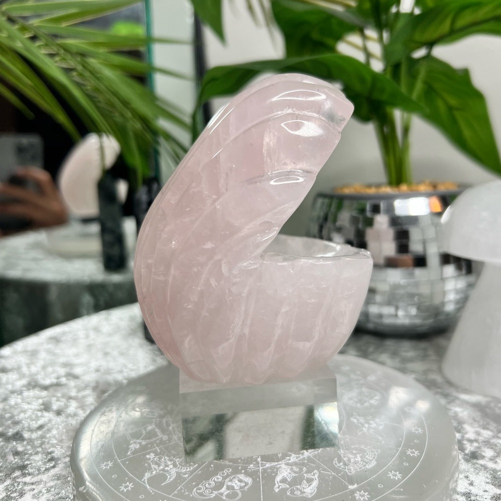 Rose Quartz Clam- RQC02