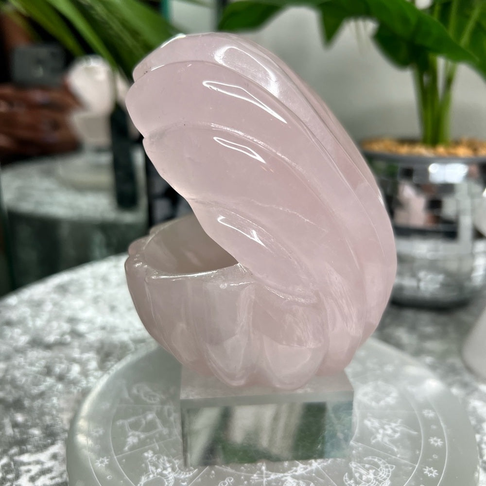 Rose Quartz Clam- RQC02