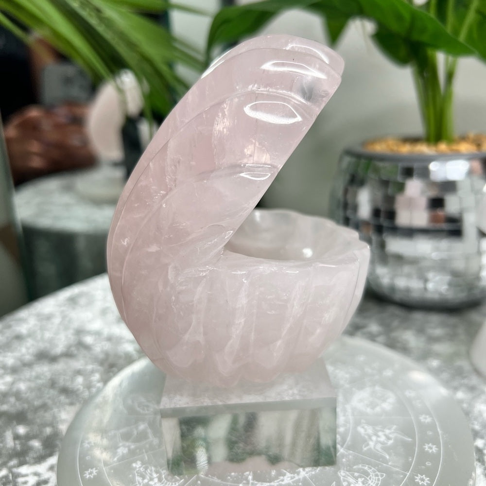 Rose Quartz Clam- RQC02