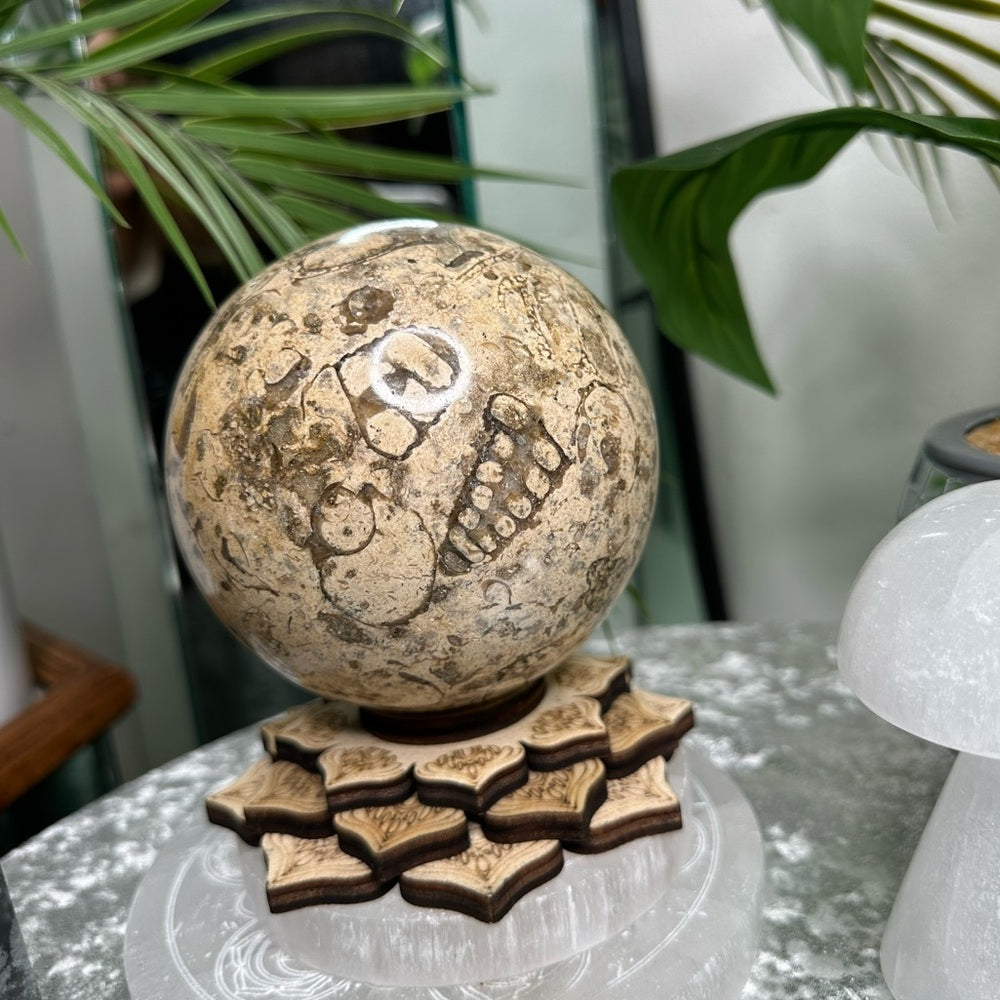 Fossil Sphere from Morocco -  FSM1