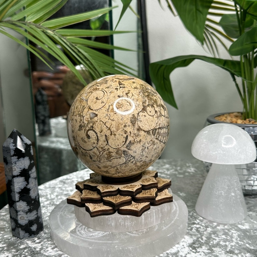 Fossil Sphere from Morocco -  FSM1