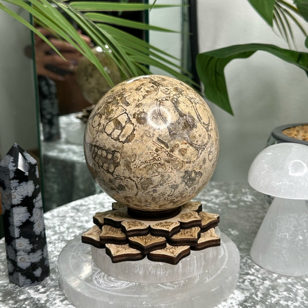 Fossil Sphere from Morocco -  FSM1