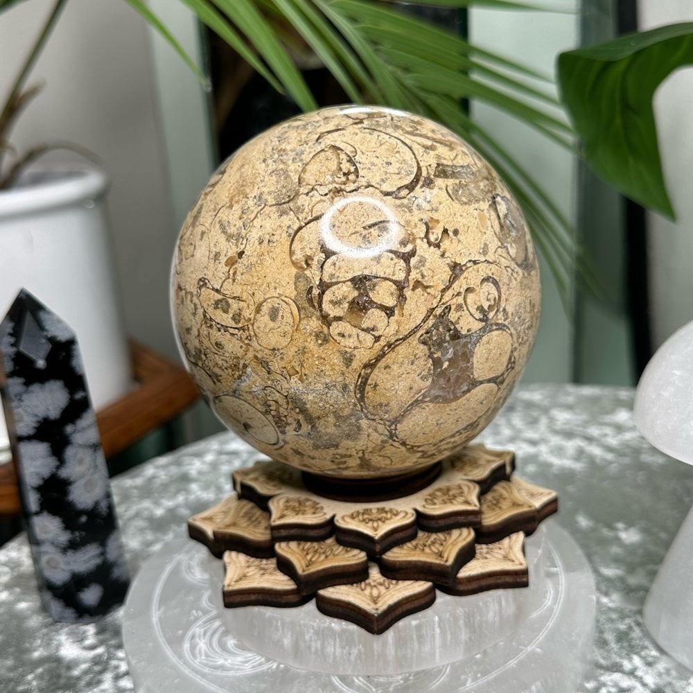 Fossil Sphere from Morocco -  FSM1
