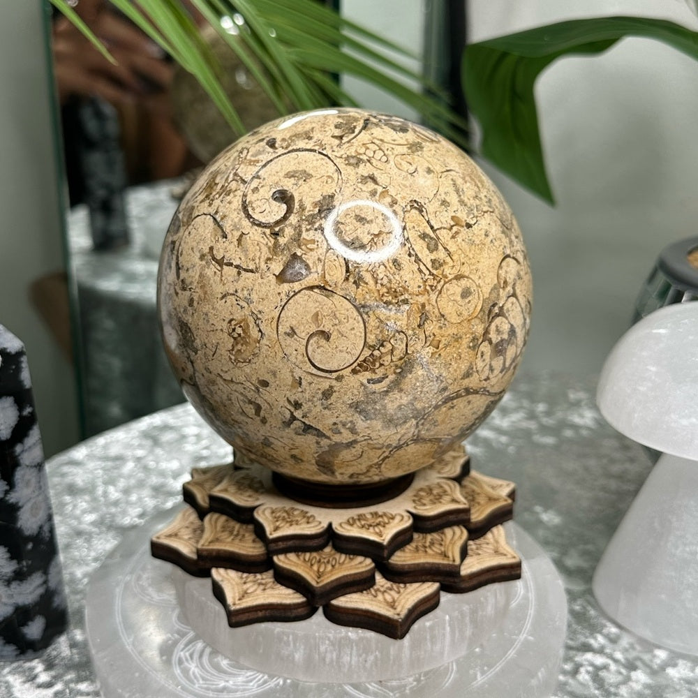 Fossil Sphere from Morocco -  FSM1