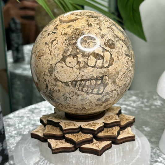 Fossil Sphere from Morocco -  FSM1