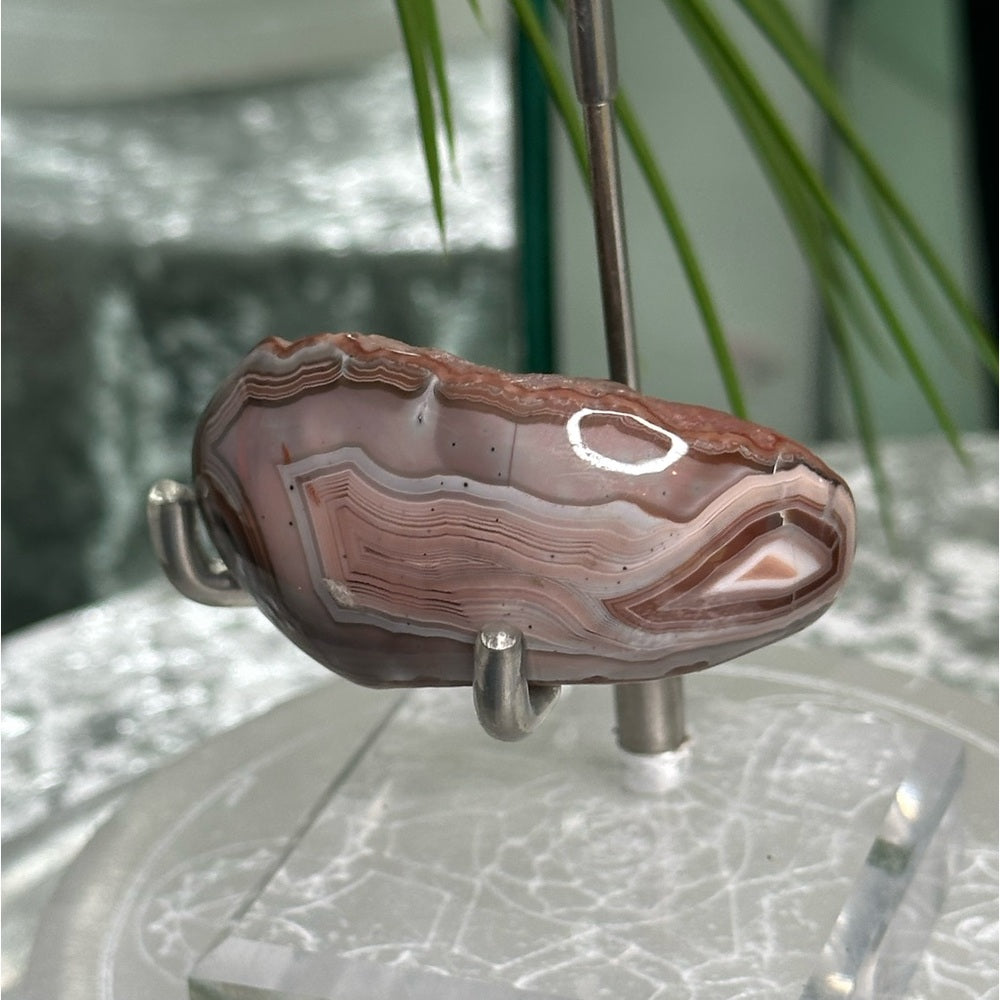 Agate Wave Hill Northern Territory (Australia) -  AWH3