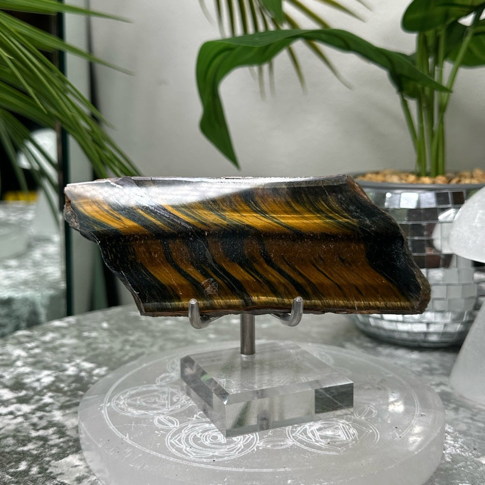 Blue Golden Tigers-eye Polished slabs-  BGT2