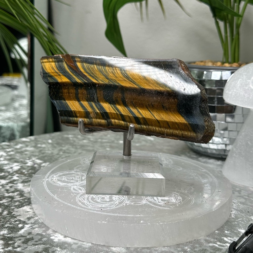 Blue Golden Tigers-eye Polished slabs-  BGT2