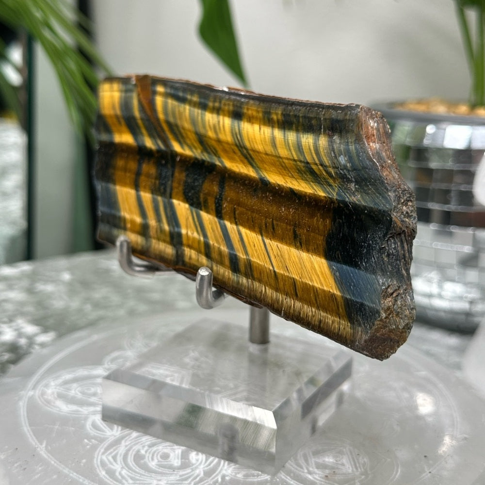 Blue Golden Tigers-eye Polished slabs-  BGT2