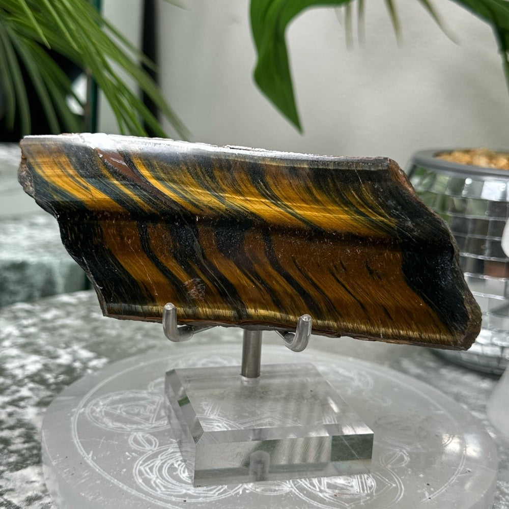 Blue Golden Tigers-eye Polished slabs-  BGT2