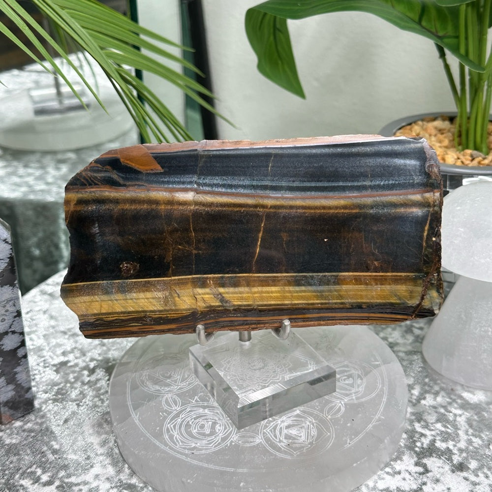 Blue Golden Tigers-eye Polished slabs-  BGT4